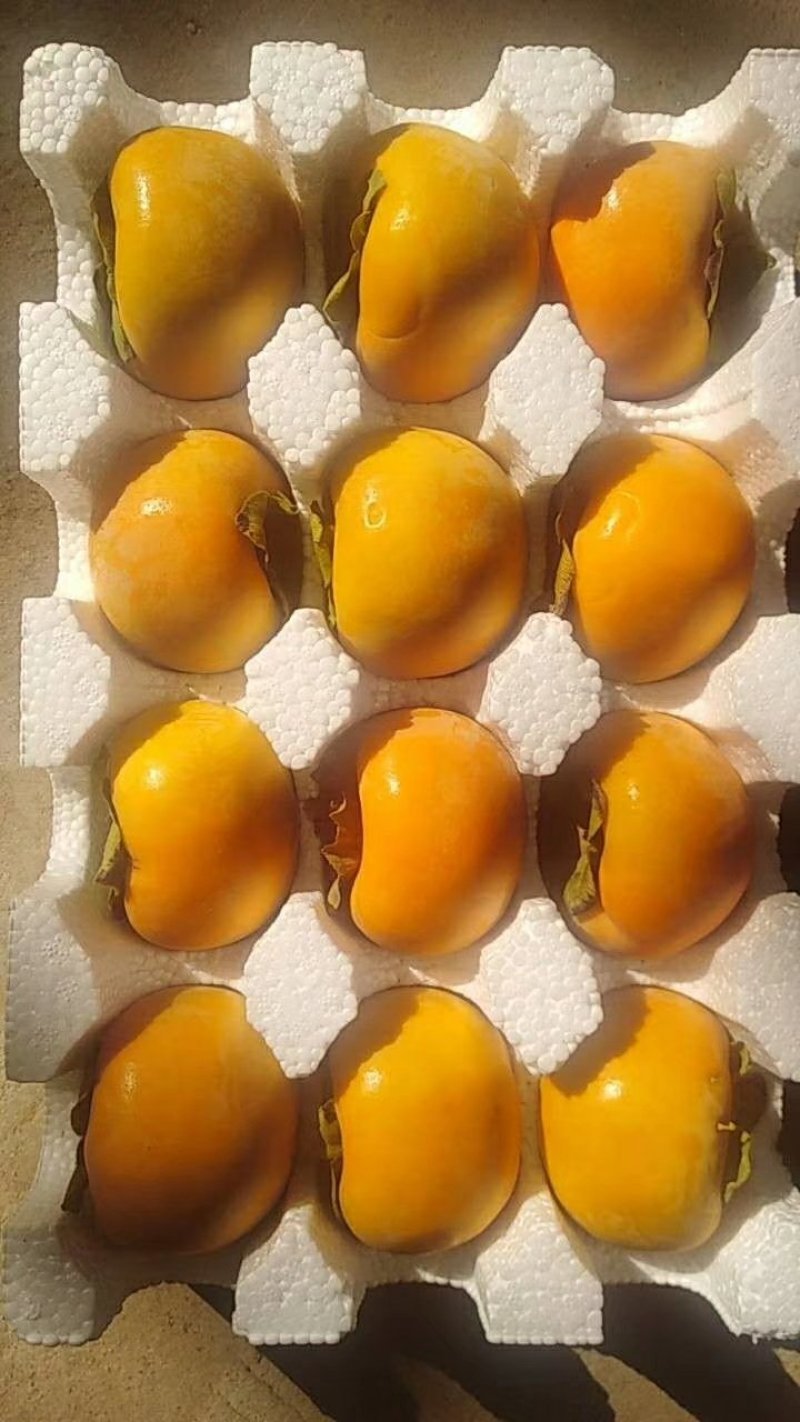 柿饼，5斤装38.8元