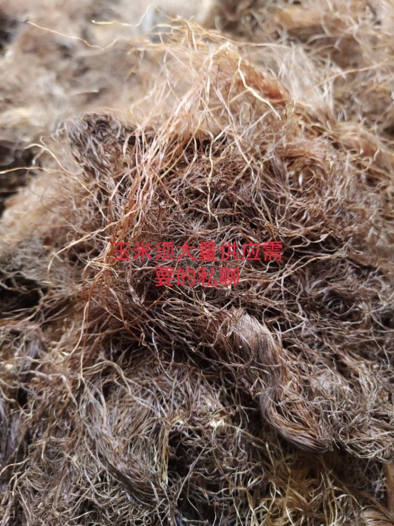 玉米须，八月扎片子干货