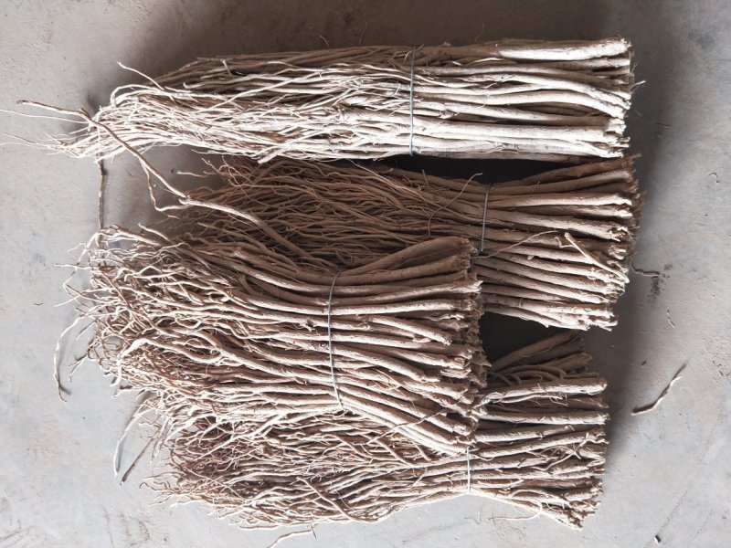 黄芪中条甘肃产地批发零售，货源充足