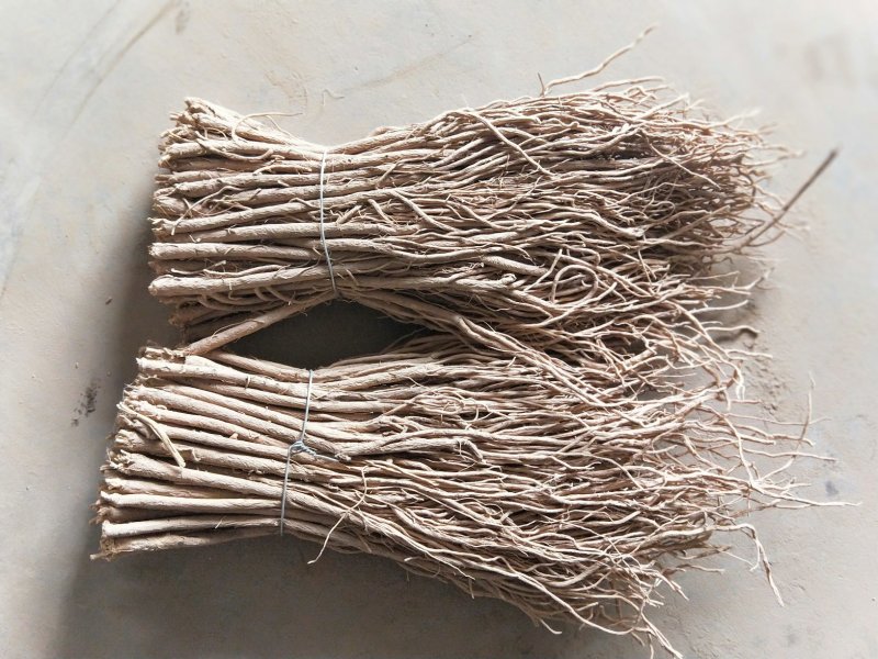 黄芪中条甘肃产地批发零售，货源充足