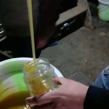 正宗土蜂蜜