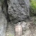 正宗土蜂蜜