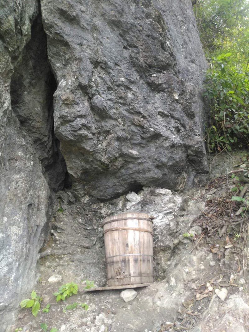 正宗土蜂蜜