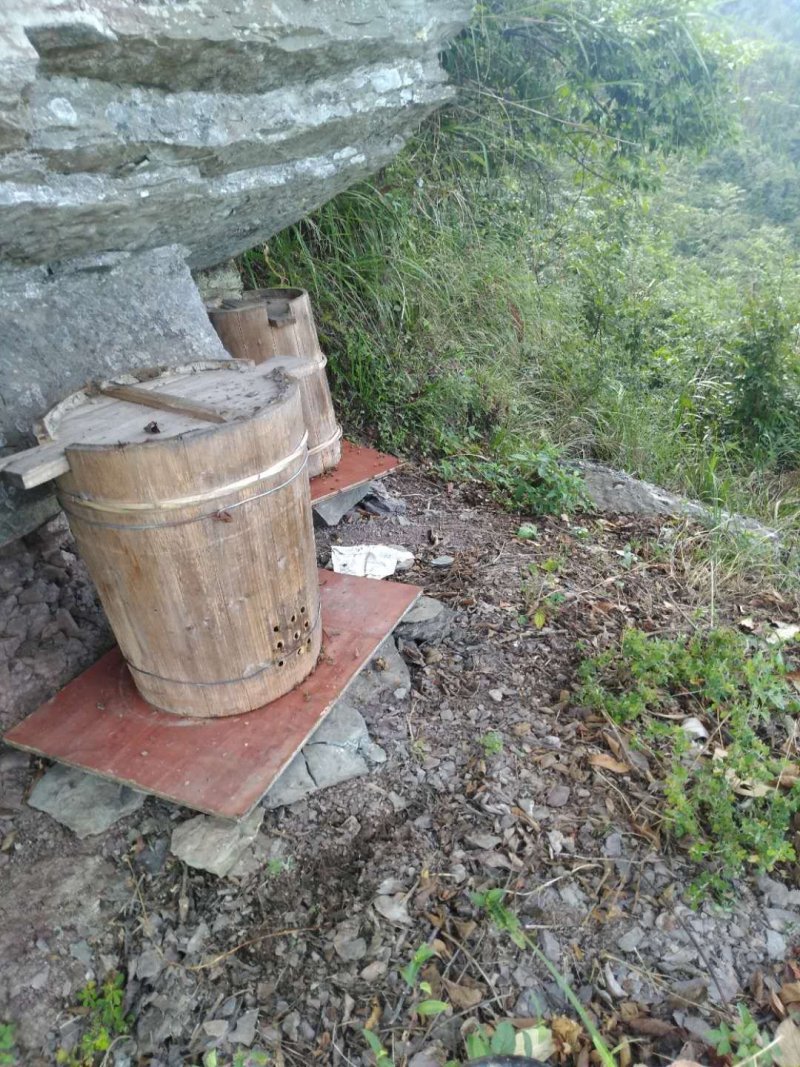 正宗土蜂蜜