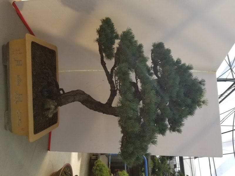 精品