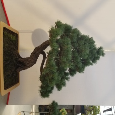 精品