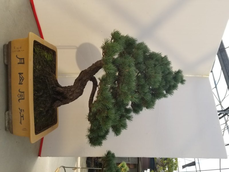 精品
