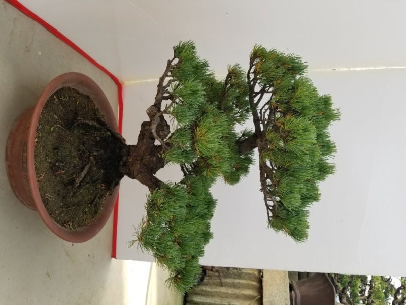 精品