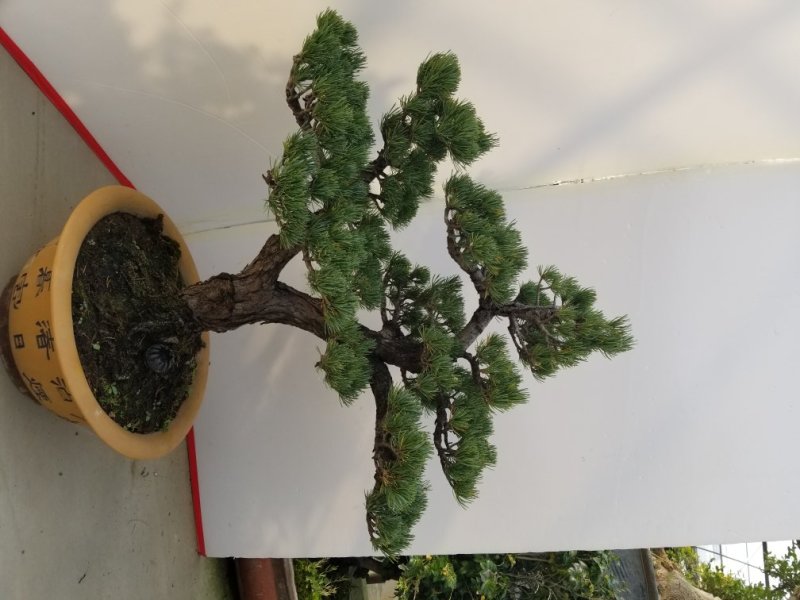 精品