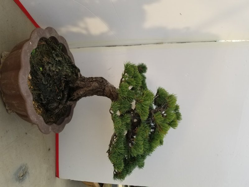 精品