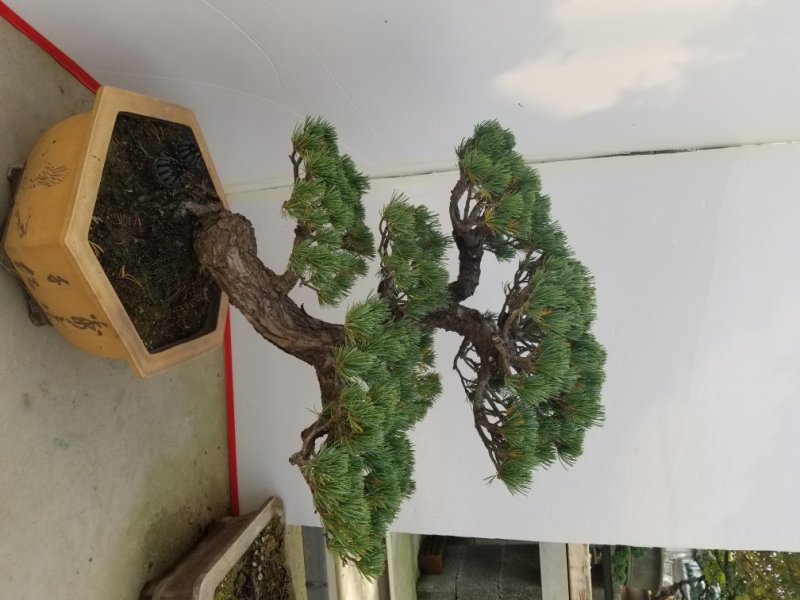 精品