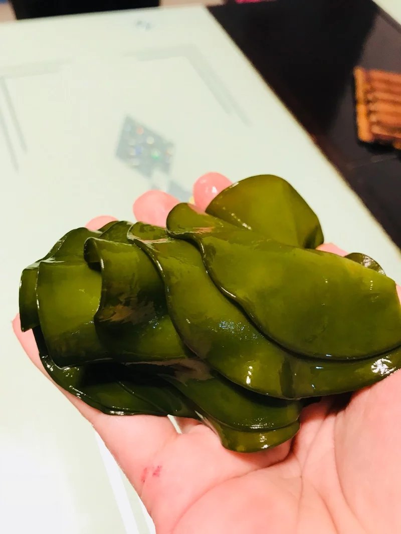 农户直供海木耳包邮（巨鲸水产出品）