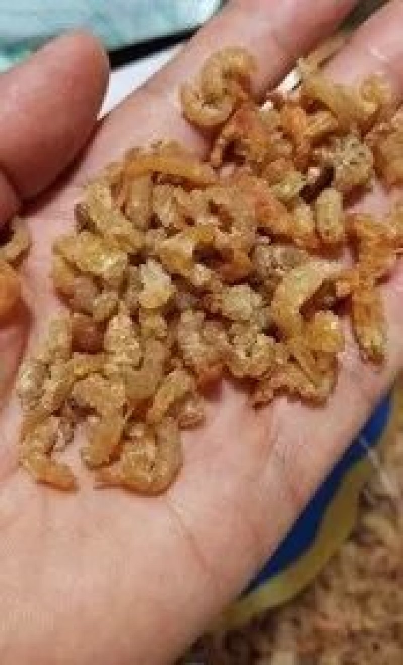 农户直供虾仁干500g包邮