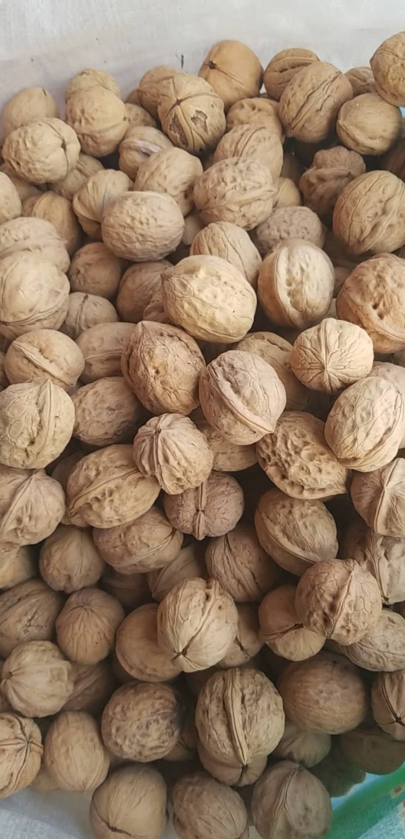 薄皮核桃大果原味核桃