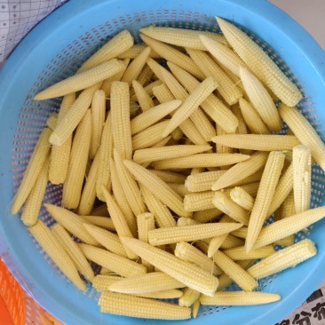 新鲜玉米笋餐厅酒店用菜电商一件代发新鲜现摘送达8斤去皮玉