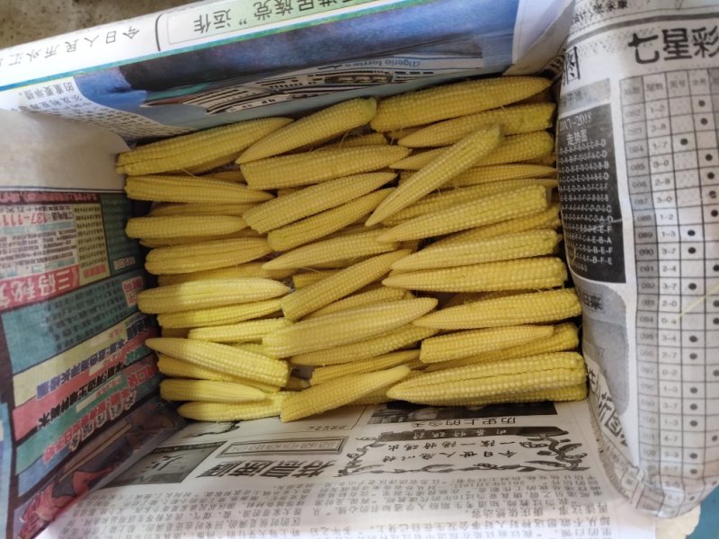 新鲜玉米笋餐厅酒店用菜电商一件代发新鲜现摘送达8斤去皮玉