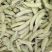 鲜毛豆质量杠杠的