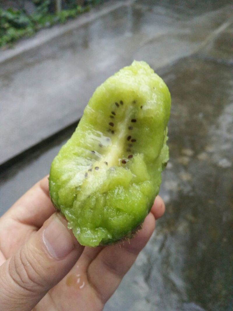 绿心猕猴桃