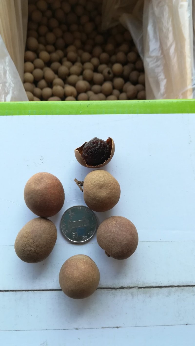 一级哈密大枣