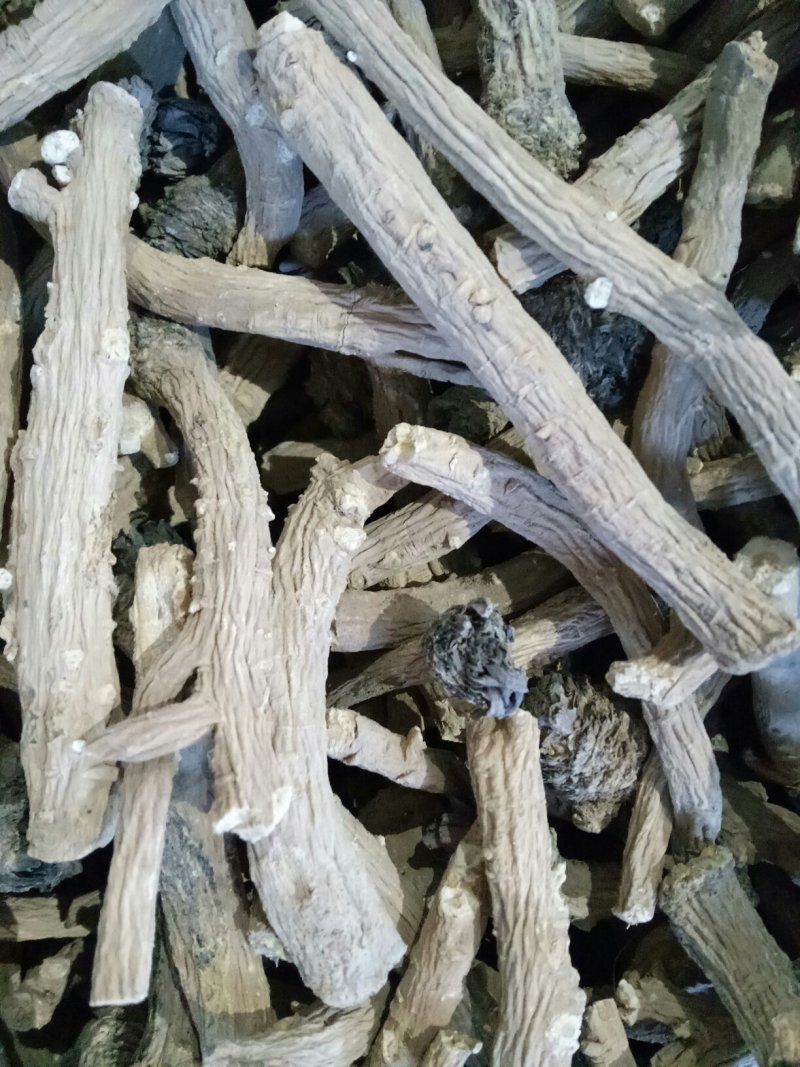 甘肃河西产地板蓝根统个供应，过风车过筛子，全干货，干净无