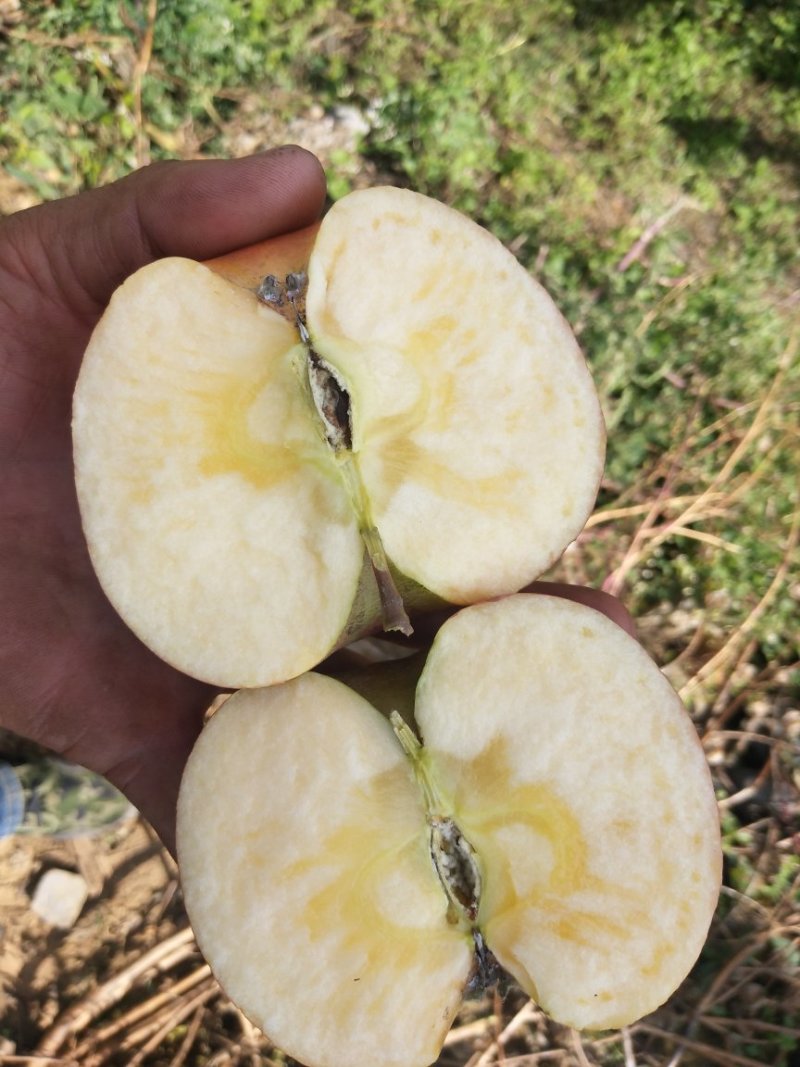 四川大凉山盐源丑苹果，它具有独特的地理位置促使口感独特