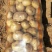 V7土豆3两5起步精品土豆大量开始出库，价格便宜