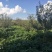 昭通糖心苹果