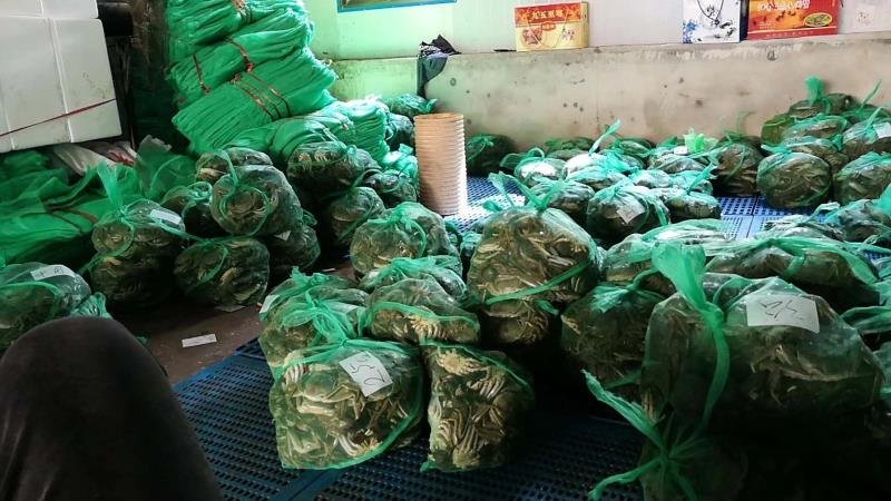 洪湖大闸蟹4公清水蟹批发红膏大闸蟹河蟹毛蟹鲜活