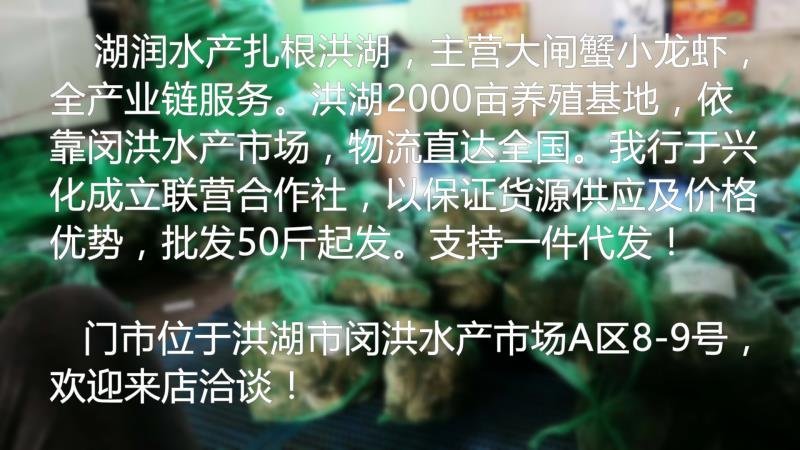 洪湖大闸蟹4公清水蟹批发红膏大闸蟹河蟹毛蟹鲜活