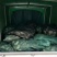 洪湖大闸蟹4公清水蟹批发红膏大闸蟹河蟹毛蟹鲜活