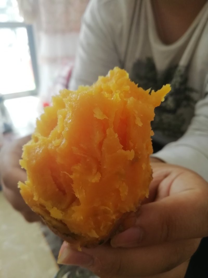 龙薯九号，烟25都有。