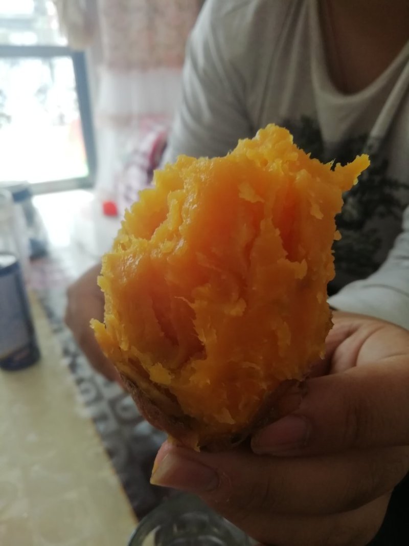 龙薯九号，烟25都有。