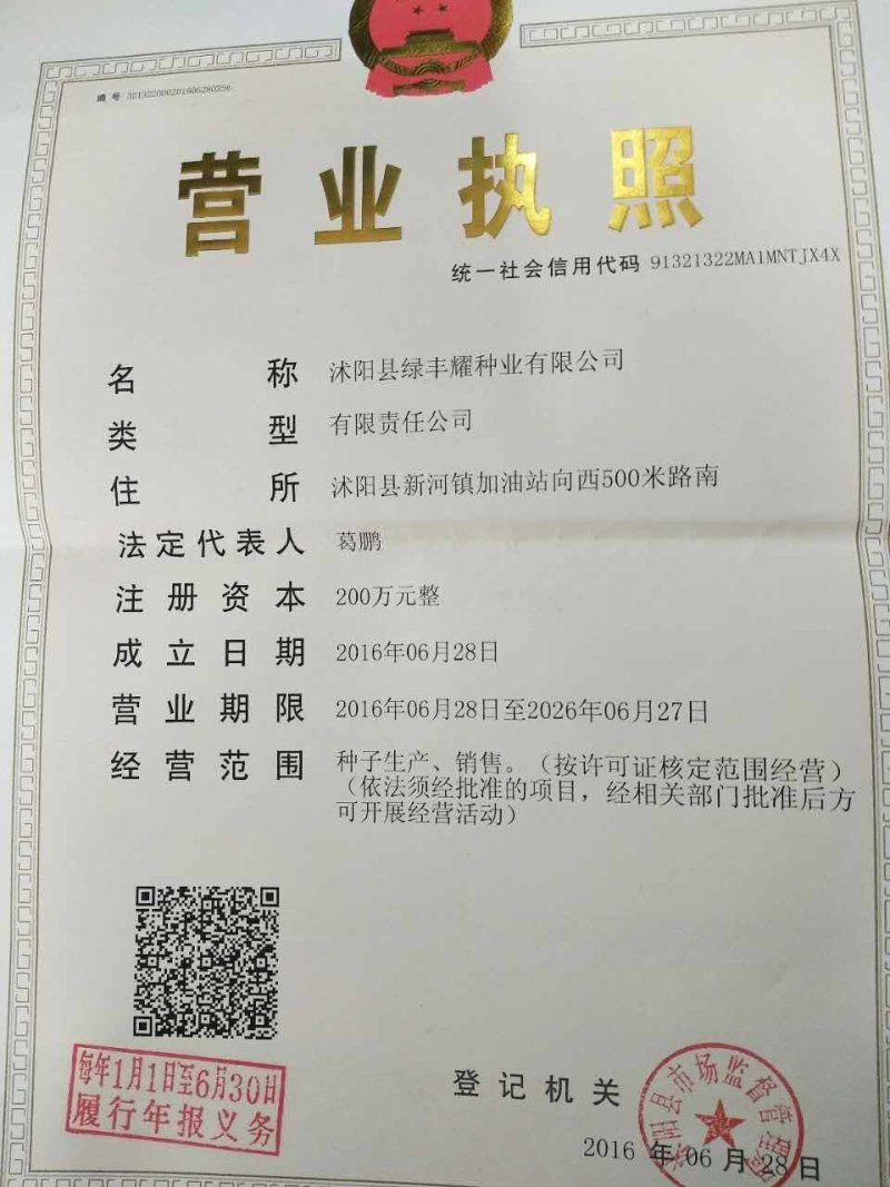 韭菜种子高产老口味