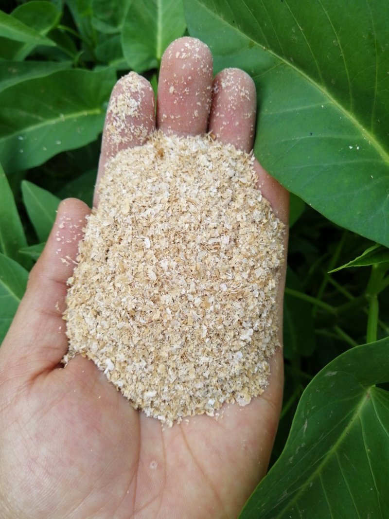 优质麸皮，毒素含量低，1320元一吨