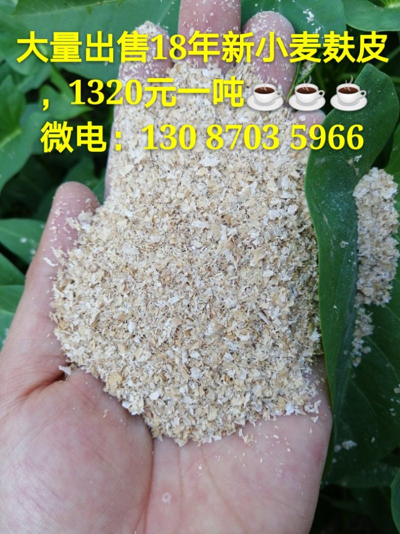 优质麸皮，毒素含量低，1320元一吨，