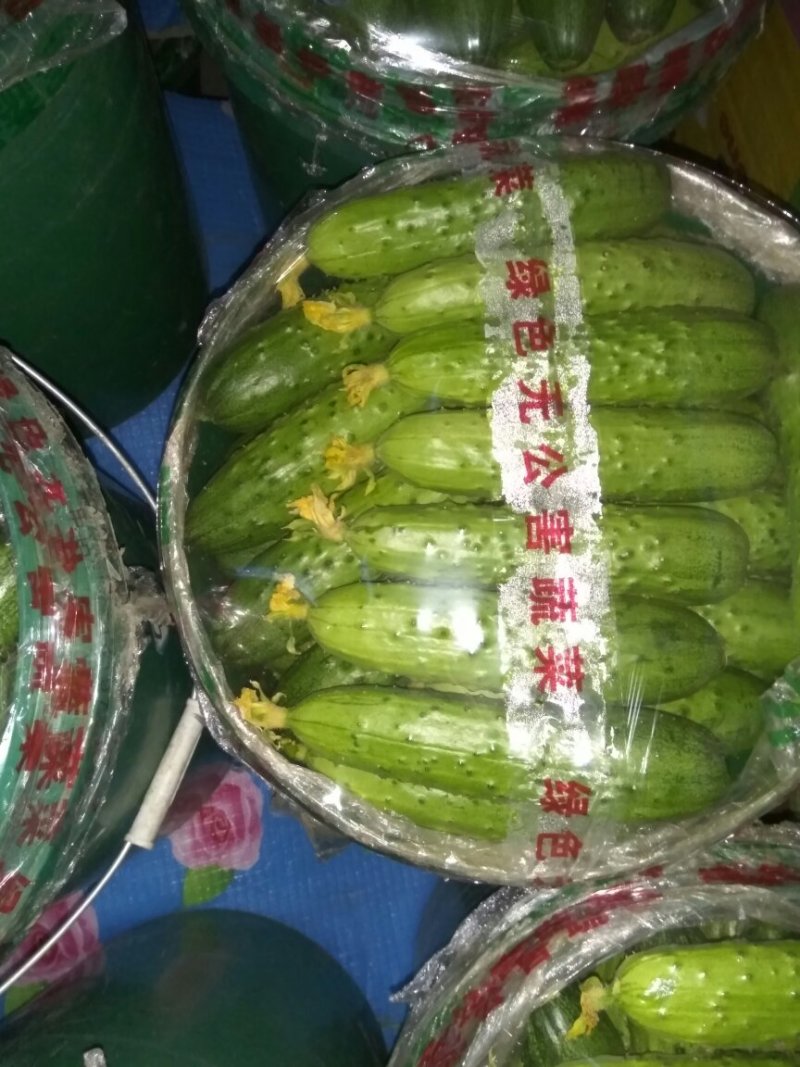 秋黄瓜