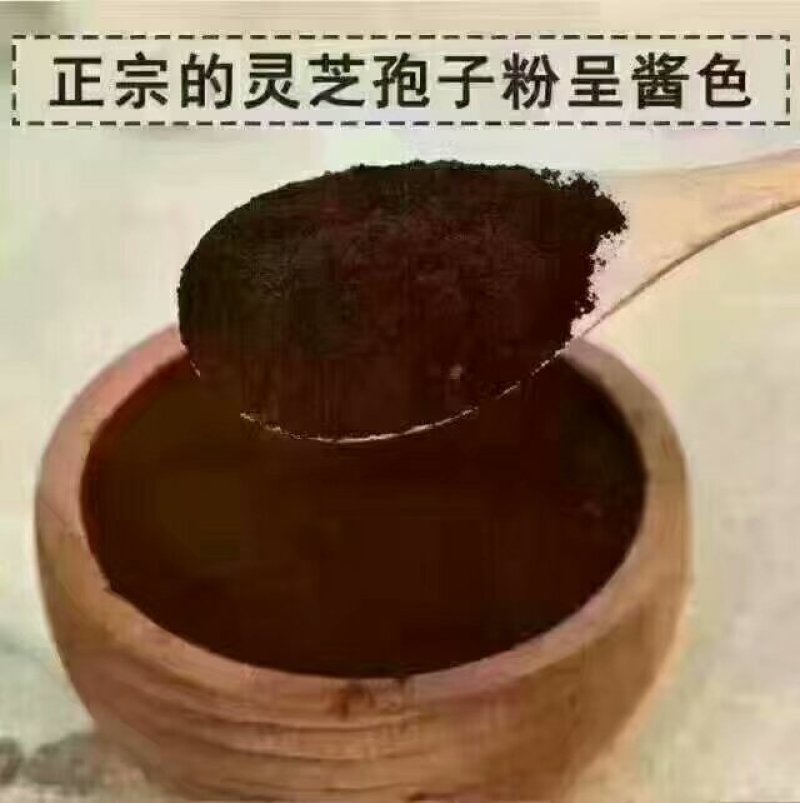 长白山灵芝孢子粉