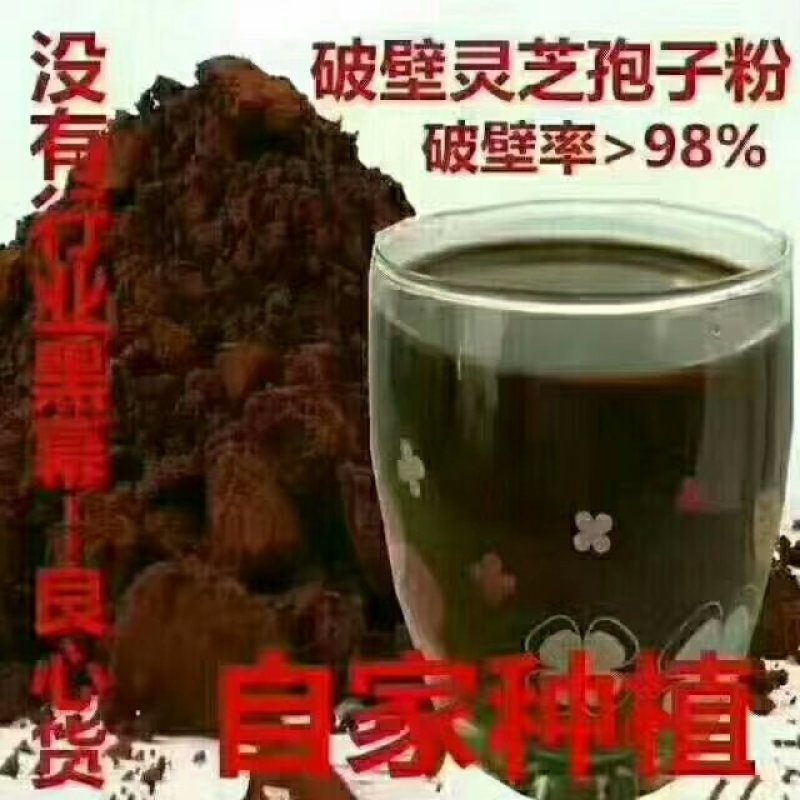 长白山灵芝孢子粉