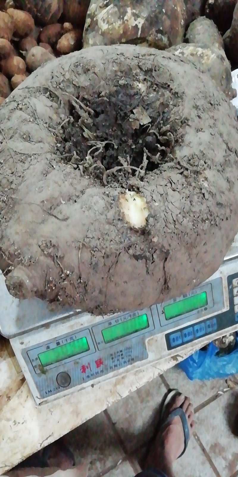 魔芋鲜货