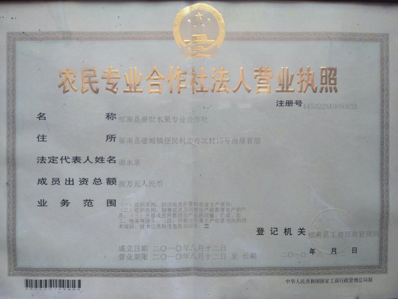 无核黄皮干