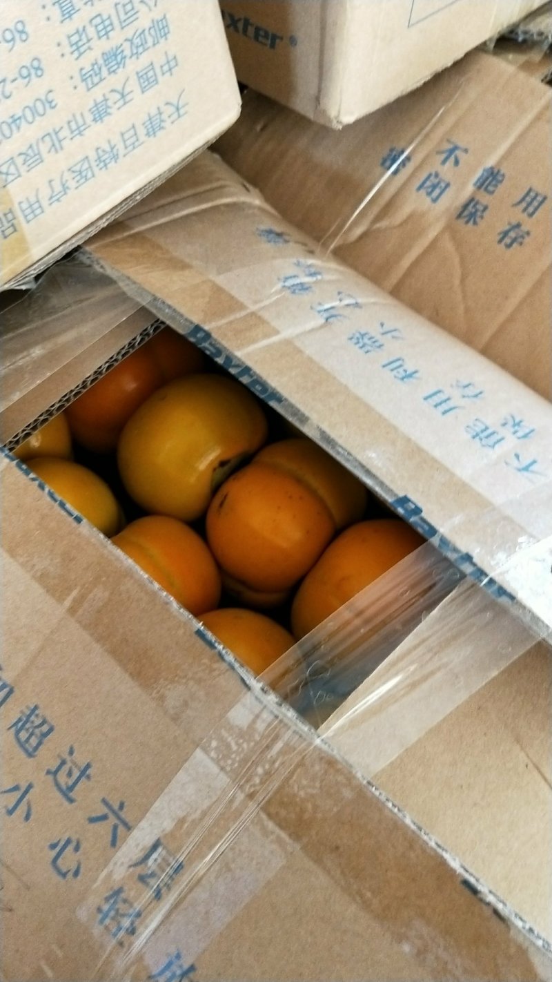 方柿大量上市，要的赶紧下订单。