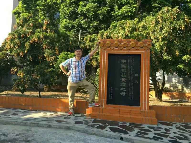 无核黄皮干