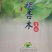 银杏菜板，银杏木砧板，可私人定制