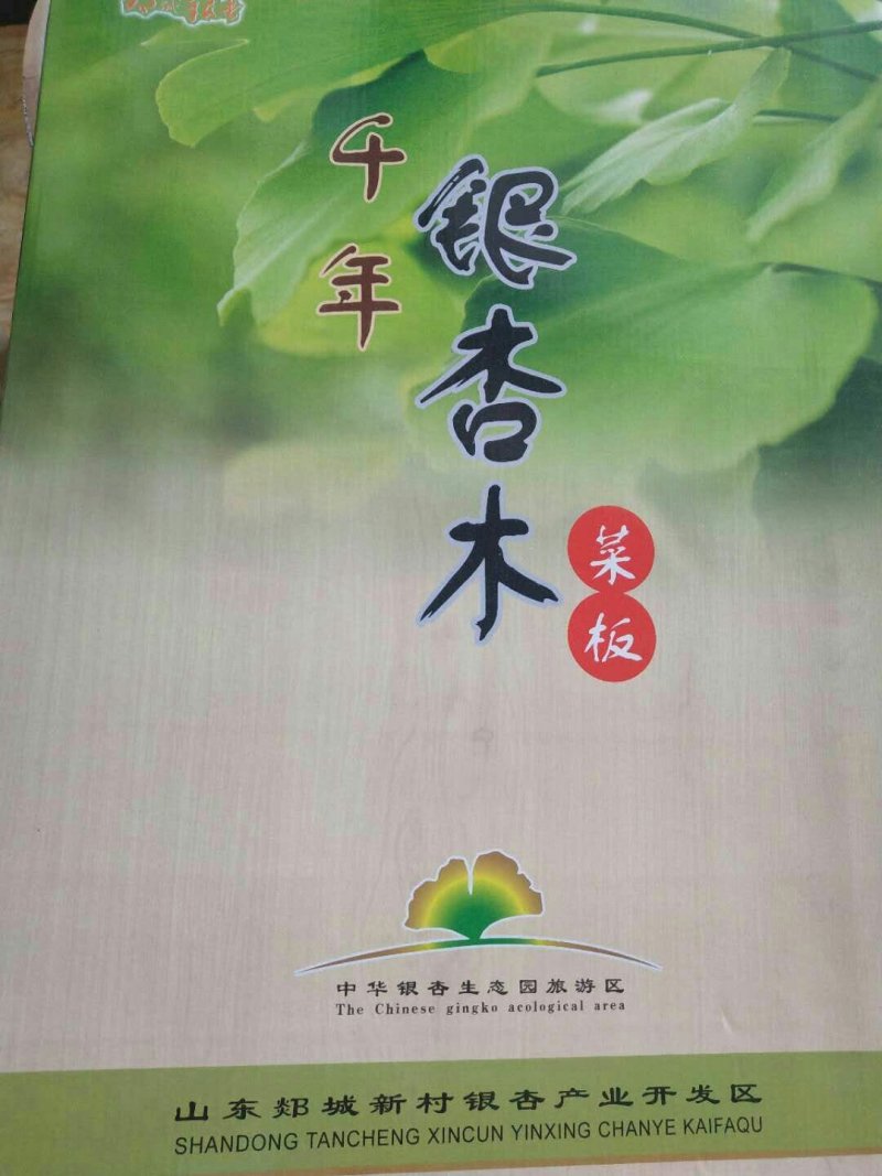 银杏木菜墩（压合）