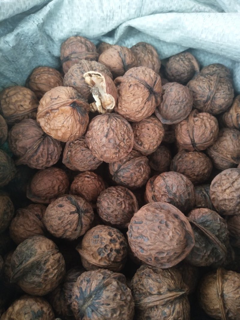 圆菠萝核桃（分白菠萝和红菠萝果，共两个品种)