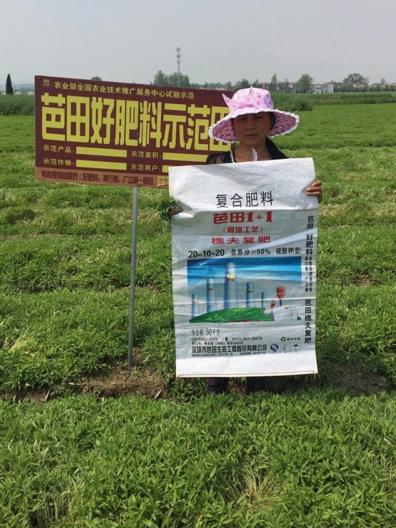 汉中纯手选元胡种量大上门指导