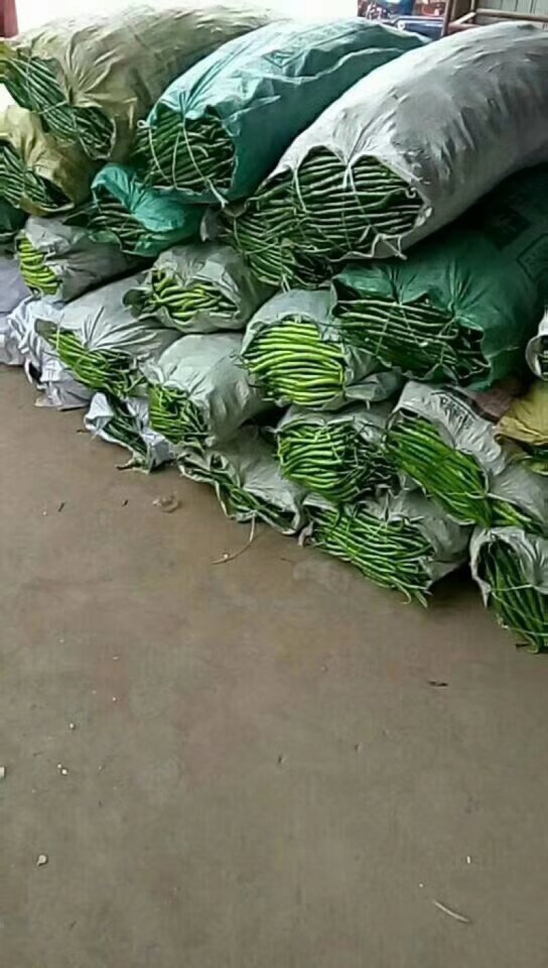 线椒二炮螺丝茹子胡芦