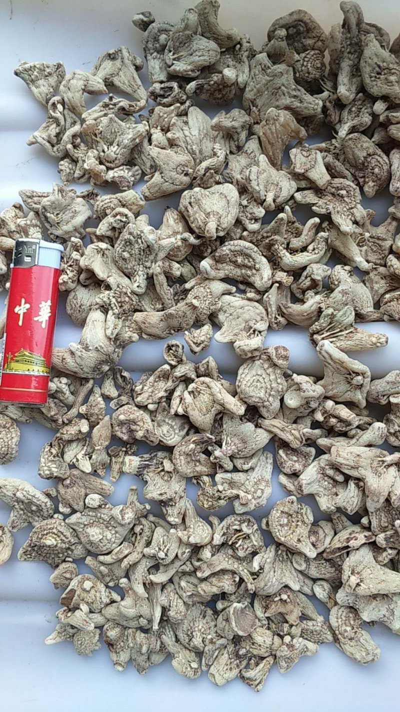 三叉紫花白芨统货