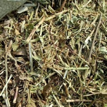 优质花生秧