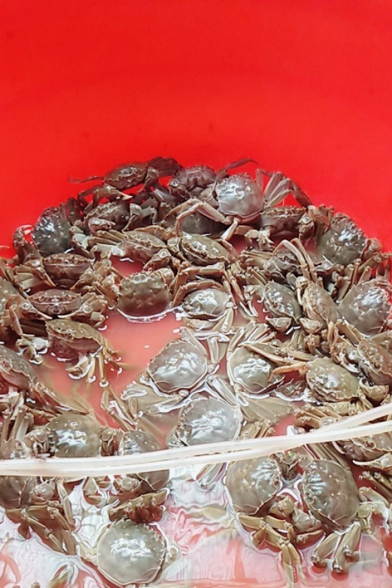 大闸蟹